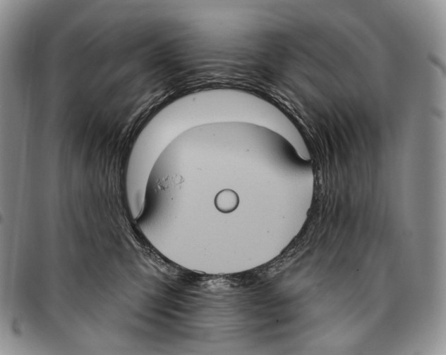 X0000096680423200803041244