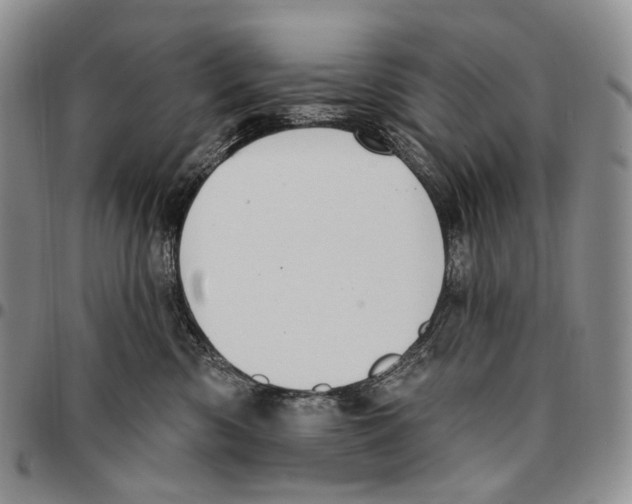X0000096680426200803041244
