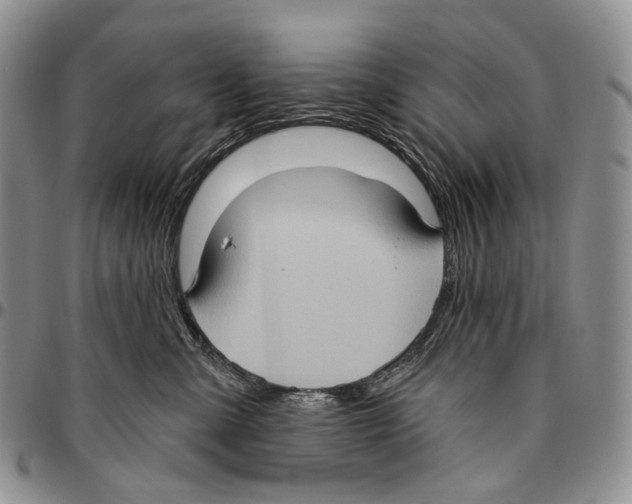X0000096680427200803041244