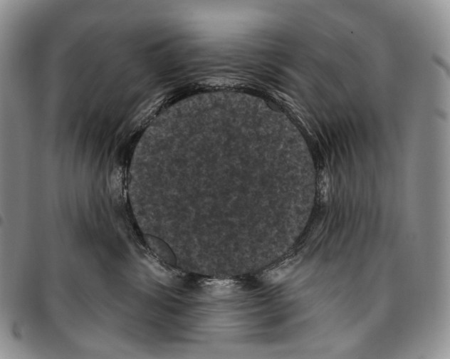 X0000096680428200803041244