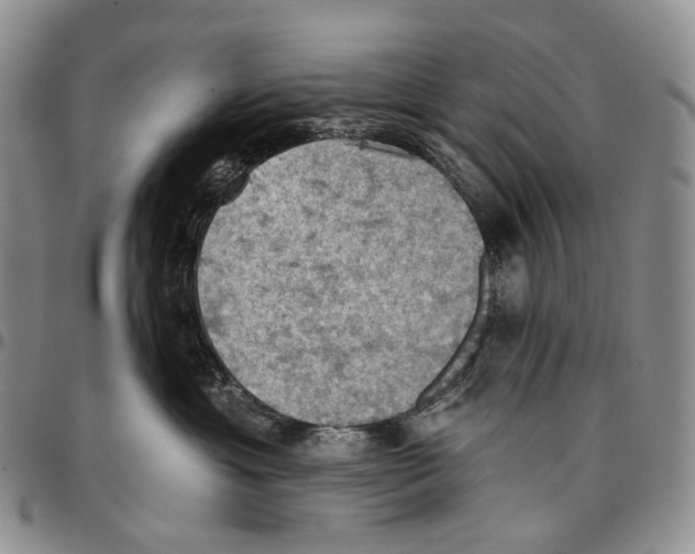 X0000096680429200803041244