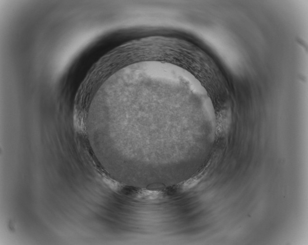 X0000096680431200803041244