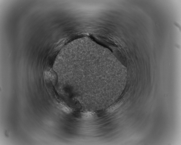 X0000096680432200803041244