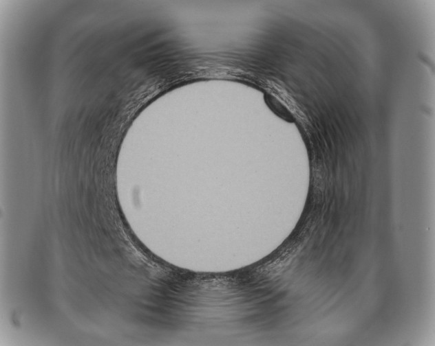 X0000096680433200803041243