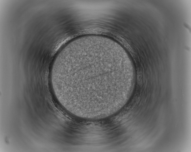 X0000096680434200803041243