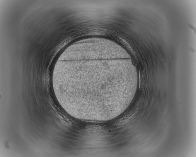 X0000096680435200803041243