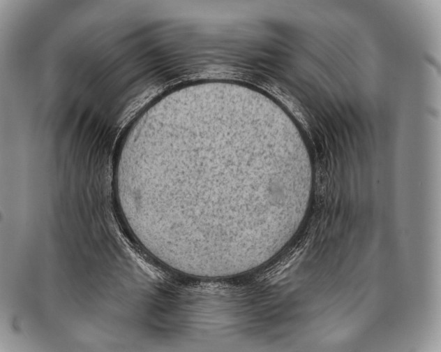 X0000096680437200803041243