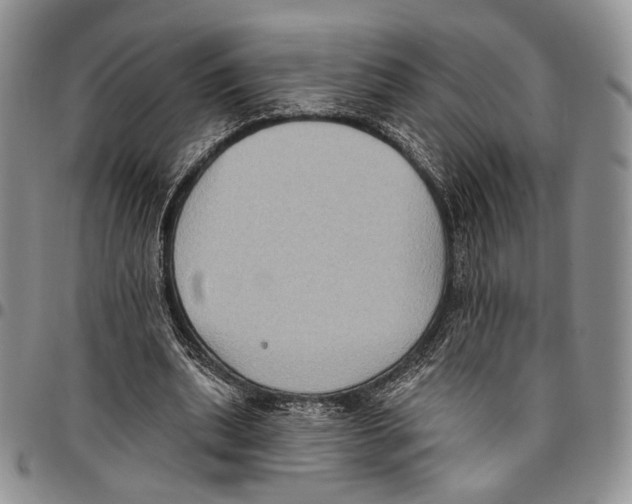 X0000096680439200803041243