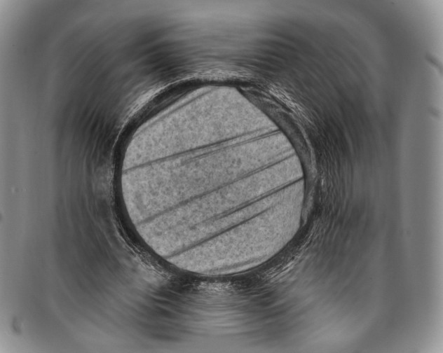 X0000096680440200803041243