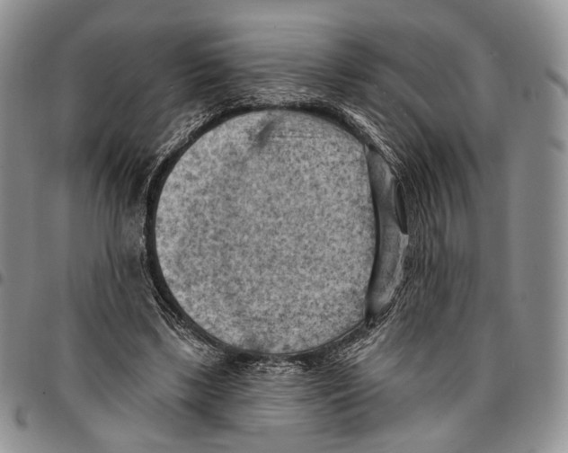 X0000096680443200803041243