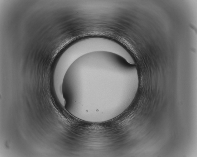X0000096680444200803041243