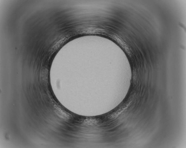 X0000096680445200803041243