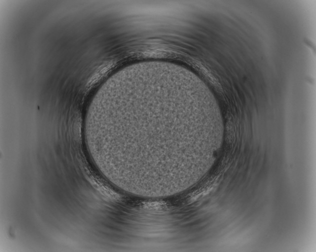 X0000096680446200803041244