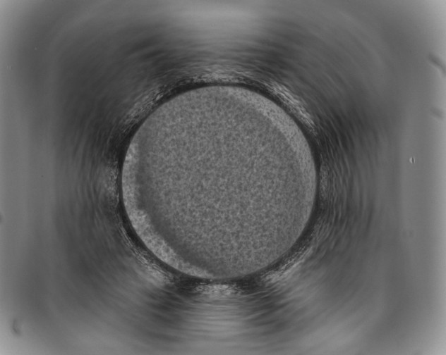 X0000096680449200803041244
