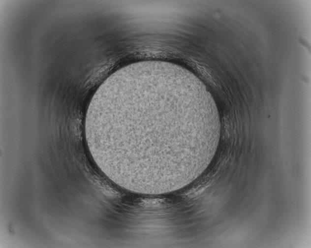X0000096680450200803041244