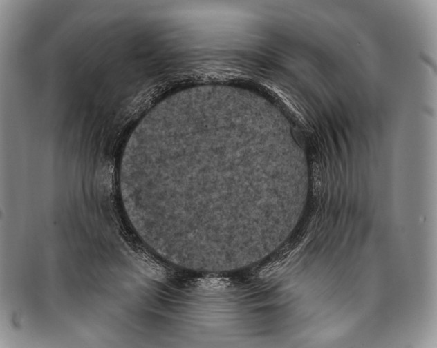 X0000096680451200803041244