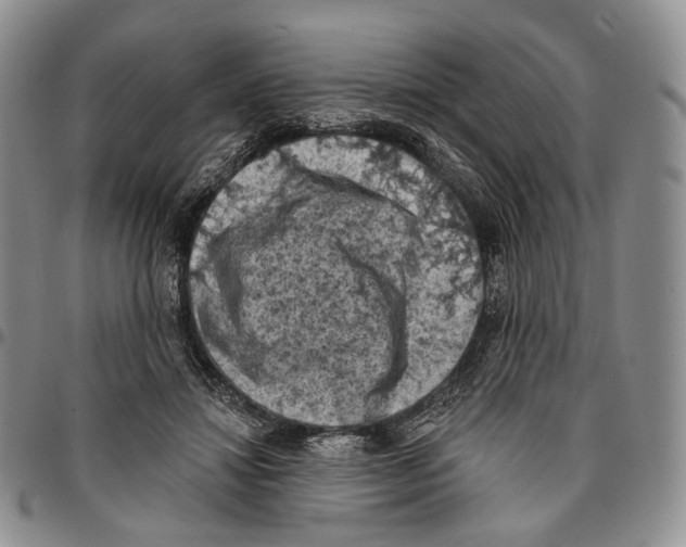 X0000096680452200803041244