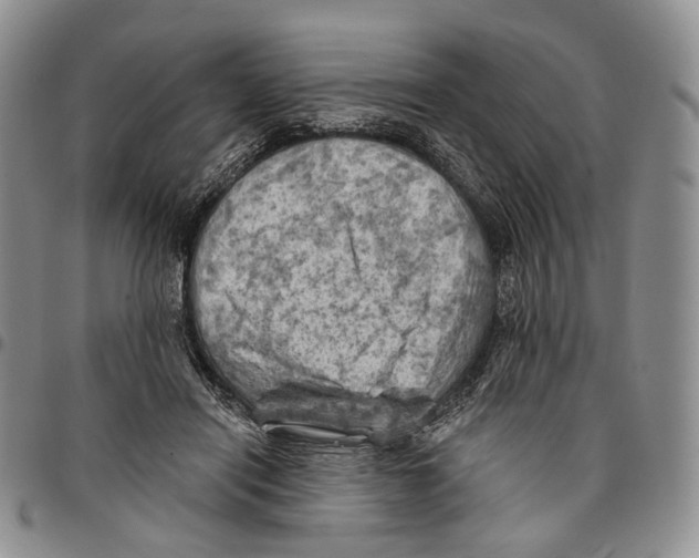 X0000096680454200803041244