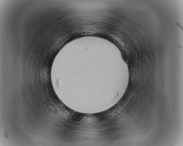 X0000096680455200803041244