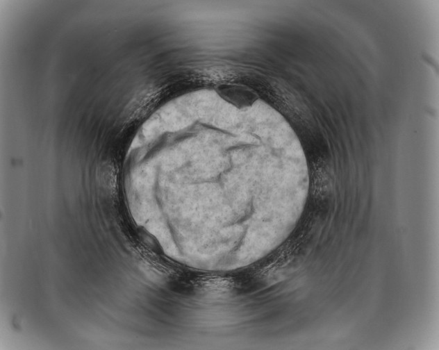 X0000096680456200803041244