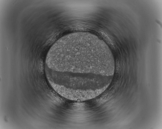 X0000096680457200803041244