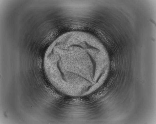 X0000096680458200803041244