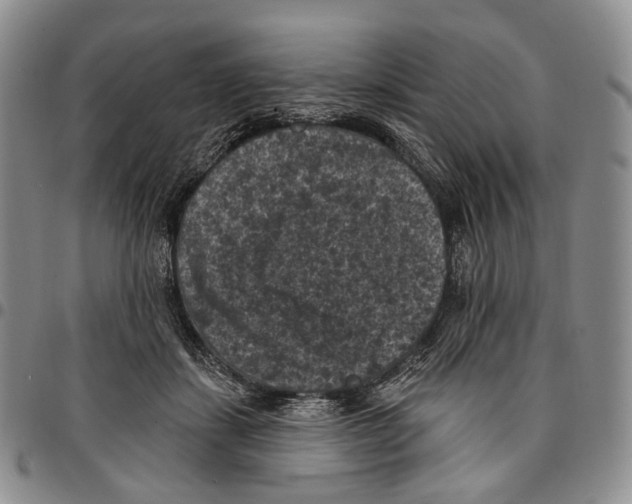 X0000096680459200803041244