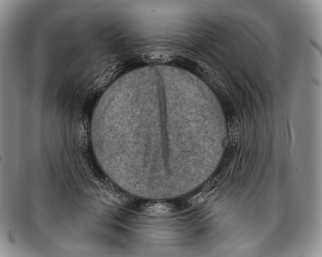 X0000096680460200803041244