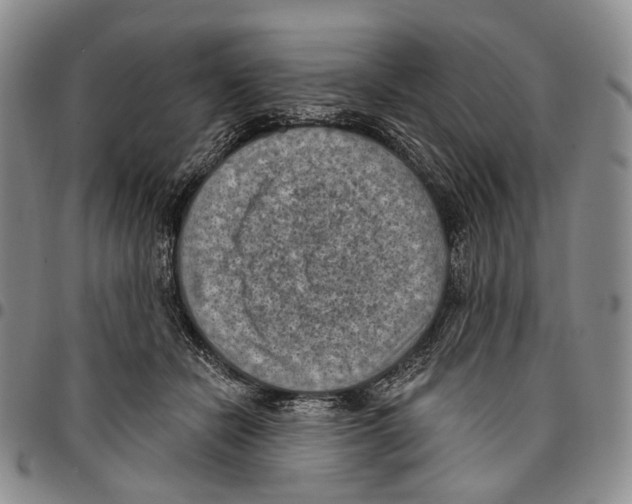 X0000096680462200803041244