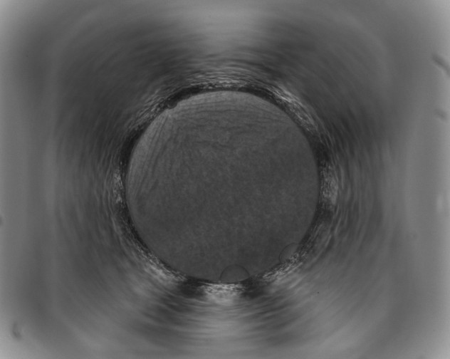 X0000096680465200803041244