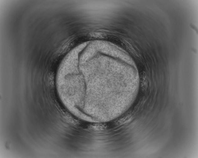 X0000096680466200803041244
