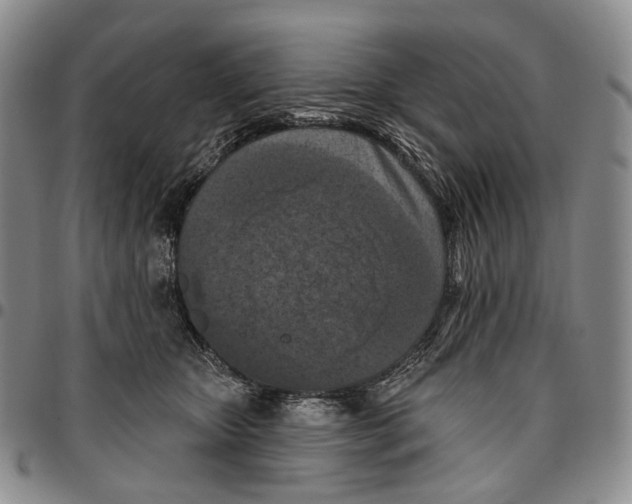 X0000096680467200803041244