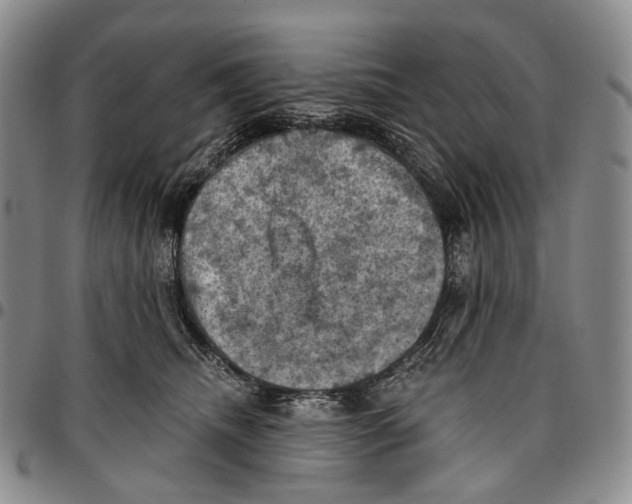 X0000096680468200803041244