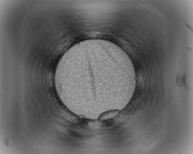 X0000096680470200803041244