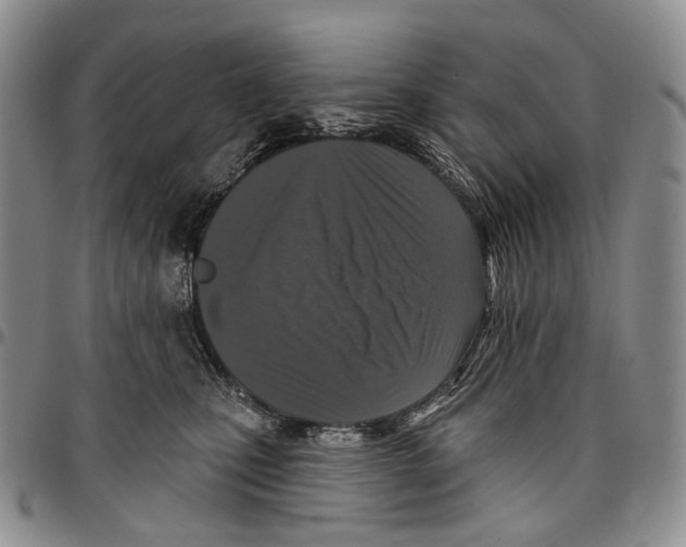 X0000096680471200803041244