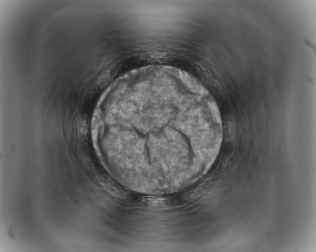 X0000096680472200803041244