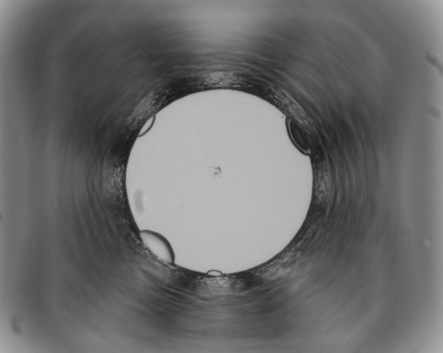 X0000096680473200803041244