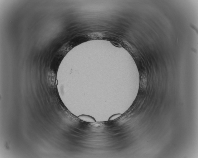 X0000096680477200803041244