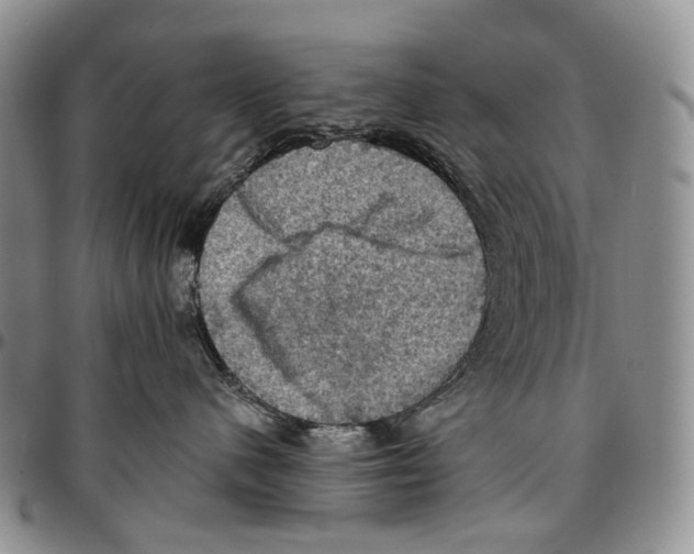 X0000096680480200803041244