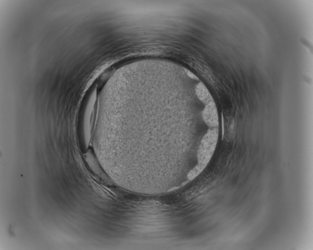 X0000096680483200803041243