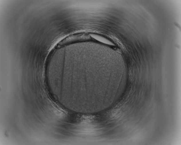 X0000096680484200803041243