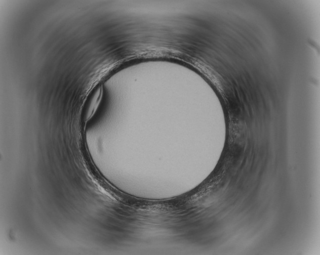 X0000096680485200803041243
