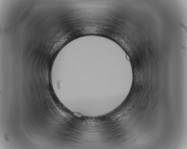 X0000096680489200803041243