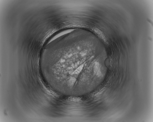X0000096680491200803041243