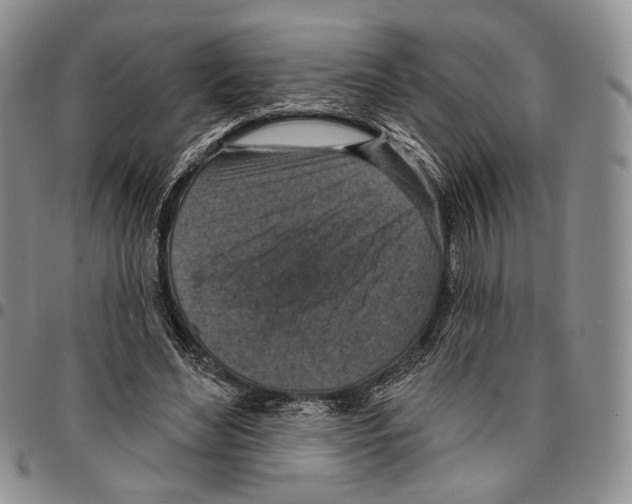 X0000096680492200803041243