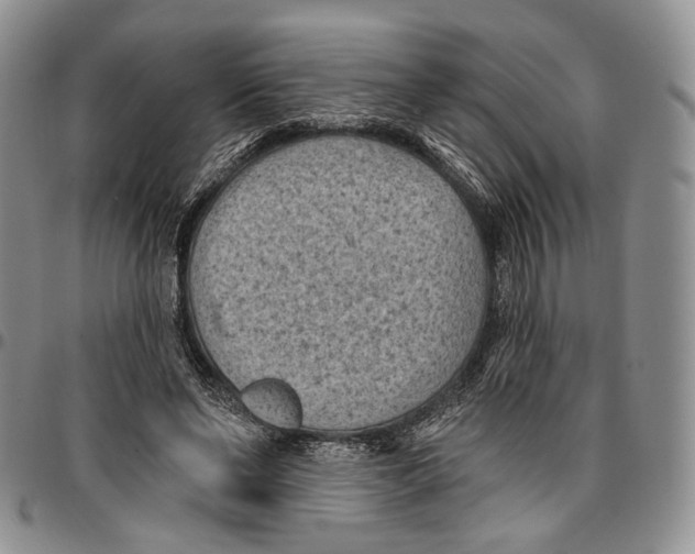 X0000096680494200803041243