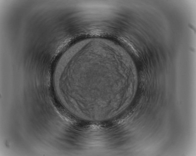 X0000096680496200803041243