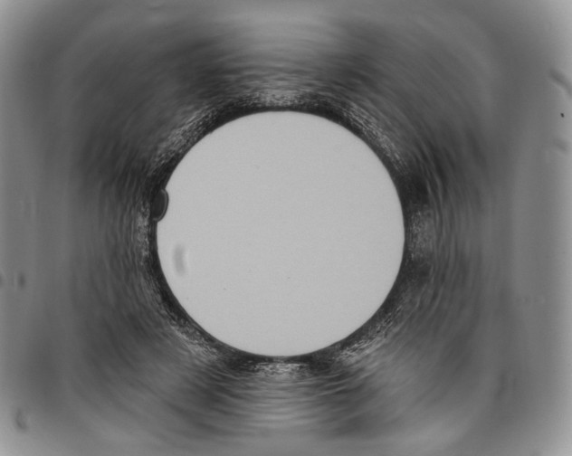 X0000096680497200803041243