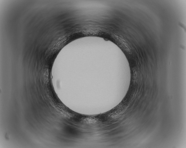 X0000096680498200803041243