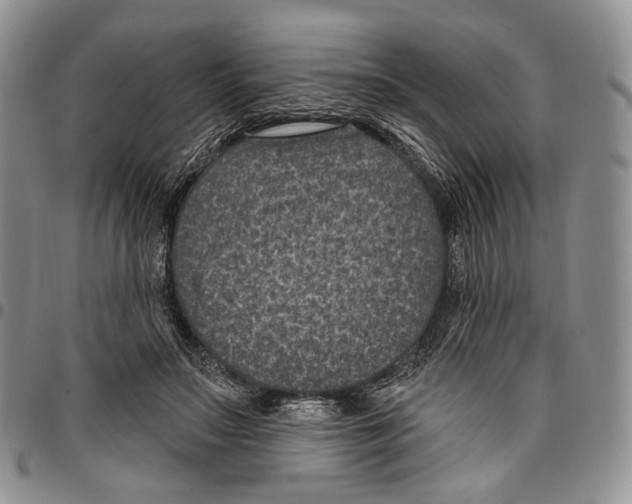 X0000096680499200803041243
